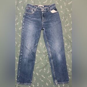Tommy Hilfiger Classic Denim Straight Jeans